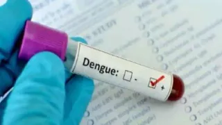 Dengue In Delhi: City Registers Two Deaths, Surge In Cases Reported At Various Hospitals